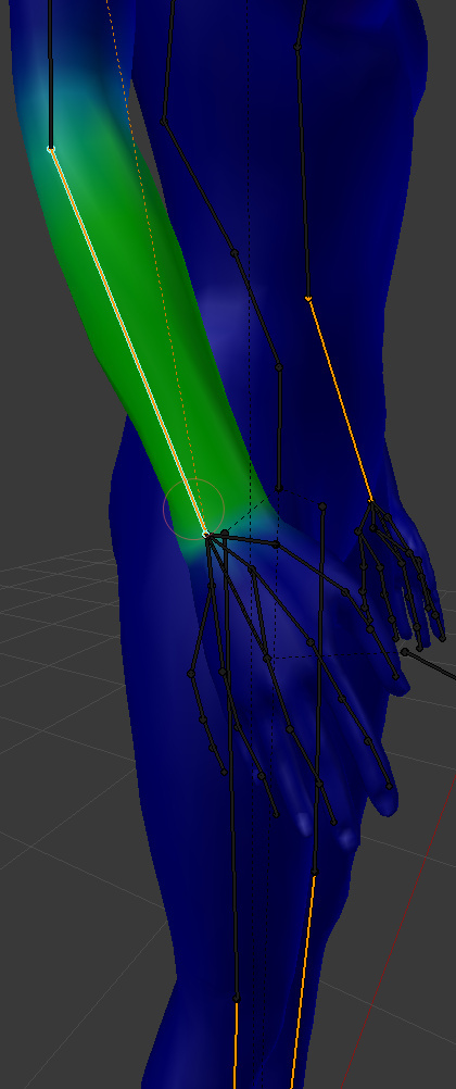The green vertices will be affected by the forearm bone.